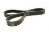ASHIKA 112-4PK810 V-Ribbed Belts